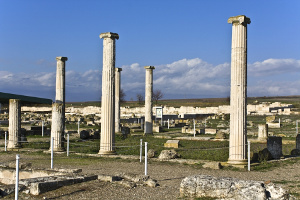 Ὁ Μέγας Ἀλέξανδρος καί οἱ συνεργάτες του ἀπό τήν Χαλκιδική