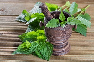 Φυτά και Βότανα της Ελληνικής Γής και Θεραπευτική Χρήση αυτών - Μέρος 2ο - Τσουκνίδα