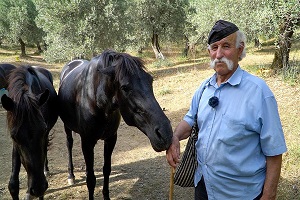 Ο μπαρμπα-Γιάννης Κάτσιος και τα άλογά του