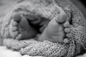 Ερευνητές του Πανεπιστημίου του Pittsburgh συλλέγουν όργανα από μωρά που έχουν εκτρωθεί, ενώ αυτά είναι ακόμα ζωντανά.