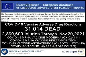 Ευρωπαϊκή Ένωση: Θάνατοι = 31.014 - Παρενέργειες = 2.890.600 (έως τις 20 Νοεμβρίου 2021)