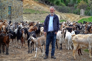 Επιστροφή στο χωριό: Συμβουλές επιτυχίας από έναν επαγγελματία κτηνοτρόφο