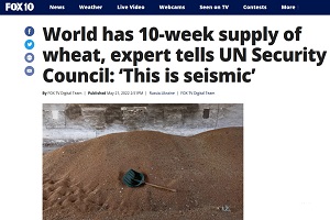 Ειδικός προς ΟΗΕ: Τελειώνουν τα αποθέματα σιταριού! Υπάρχει μείζον πρόβλημα επισιτιστικής ασφάλειας