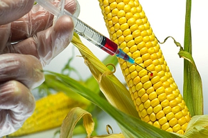 Για τα μάτια της Bayer-Monsanto η ΕΕ αλλάζει γραμμή στα μεταλλαγμένα