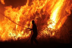 Wall Street Journal: Οι πυρκαγιές παγκοσμίως μειώνονται τα τελευταία χρόνια! Δεν οφείλονται στην κλιματική αλλαγή!
