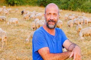Ο Τάσος και το κοπάδι του | Μια ζωή αφιερωμένη στα πρόβατα