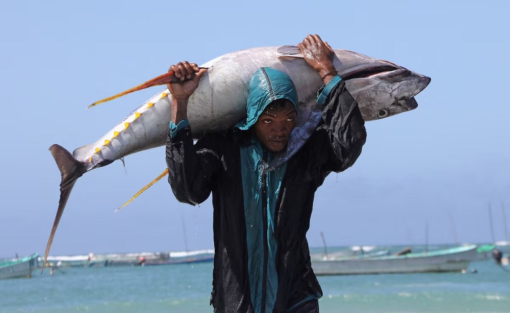 Θαλασσινά: Οι ιχθυοκαλλιέργειες ξεπέρασαν σε παραγωγή την αλιεία