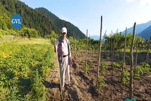 Ο κήπος του 90χρονου κυρ-Νίκου - Η ζωή στο χωριό