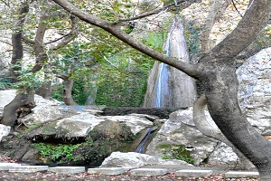 Καταρράκτες της Πέτρας: Ένας «Κρυμμένος Θησαυρός» της Βοιωτίας (βίντεο)