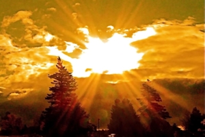 π. Δημητρίου Μπόκου: Χριστουγεννιάτικες Ιστορίες, αρ. 25. Ο ΗΜΙΟΝΗΓΟΣ