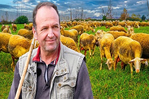 Σπούδασε… αλλά η ευτυχία ήταν στα πρόβατα – Ο τελευταίος μετακινούμενος κτηνοτρόφος