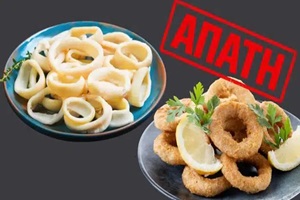 Περιέχουν οι ροδέλες καλαμαριών… καλαμάρια; Η ακτινογραφία μιας συστηματικής απάτης στα ευρωπαϊκά και ελληνικά πιάτα