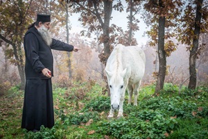 “Ἡ Διάκριση τῶν Λογισμῶν” – Ὁμιλία τοῦ μακαριστοῦ π. Δωροθέου ἀπὸ τὴν Ἐνωμένη Ρωμηοσύνη στὸ Βόλο (2020)