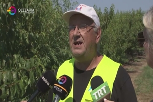 Πράξη αλληλεγγύης: Λαρισαίος αγρότης χάρισε ολόκληρη τη σοδειά του σε νεκταρίνια (06/07/2026)