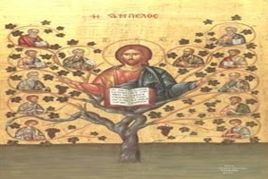 ΚΥΡΙΑΚΗ ΙΓ΄ ΜΑΤΘΑΙΟΥ [: Ματθ.21,33-46] Ο ΙΕΡΟΣ ΧΡΥΣΟΣΤΟΜΟΣ ΓΙΑ ΤΗΝ ΠΑΡΑΒΟΛΗ ΤΗΣ ΑΜΠΕΛΟΥ ΚΑΙ ΤΩΝ ΚΑΚΩΝ ΔΙΑΧΕΙΡΙΣΤΩΝ ΤΗΣ