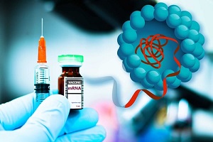 Μελέτη-σοκ για το mRNA εμβόλιο της Pfizer: «Χτυπά» και εκεί που δεν το περίμενε κανείς – Τα νέα ευρήματα